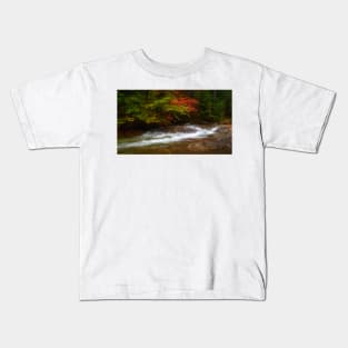 Stream in Franconia Notch State Park Kids T-Shirt